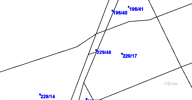 Parcela st. 229/48 v KÚ Čáslavky, Katastrální mapa