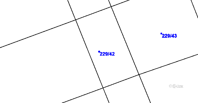 Parcela st. 229/42 v KÚ Čáslavky, Katastrální mapa