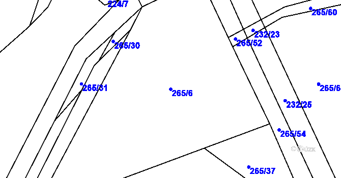 Parcela st. 265/6 v KÚ Svinišťany, Katastrální mapa