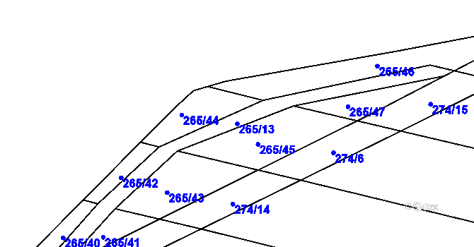 Parcela st. 265/13 v KÚ Svinišťany, Katastrální mapa