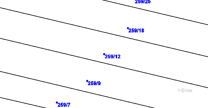 Parcela st. 259/12 v KÚ Svinišťany, Katastrální mapa