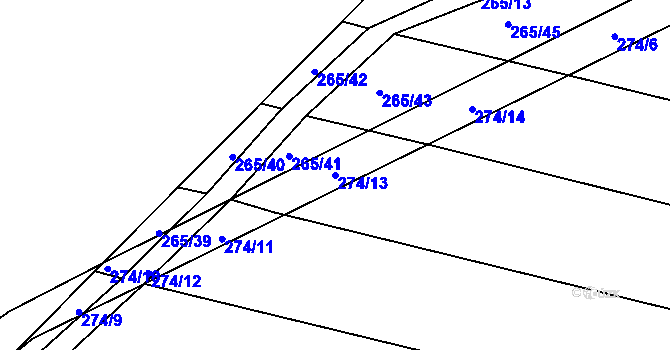 Parcela st. 274/13 v KÚ Svinišťany, Katastrální mapa