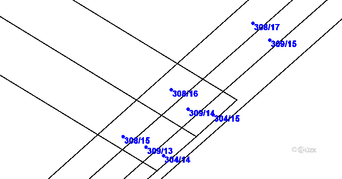 Parcela st. 308/16 v KÚ Svinišťany, Katastrální mapa