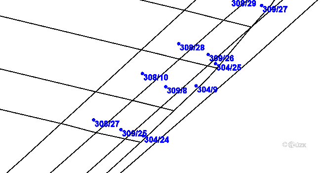 Parcela st. 309/8 v KÚ Svinišťany, Katastrální mapa