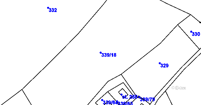 Parcela st. 339/18 v KÚ Dolní Bělá, Katastrální mapa