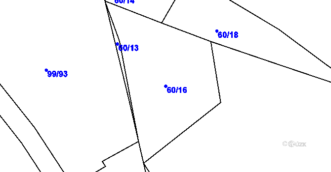 Parcela st. 60/16 v KÚ Dolní Bělá, Katastrální mapa