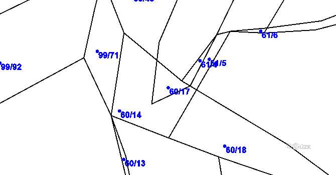 Parcela st. 60/17 v KÚ Dolní Bělá, Katastrální mapa