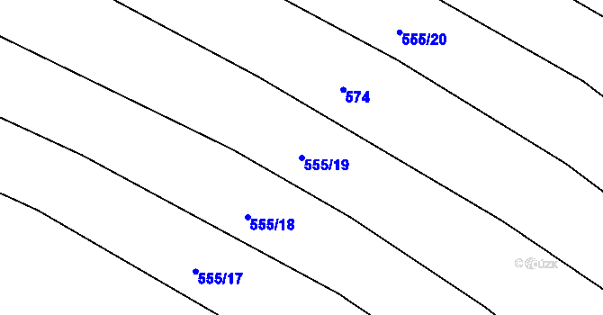 Parcela st. 555/19 v KÚ Loza, Katastrální mapa
