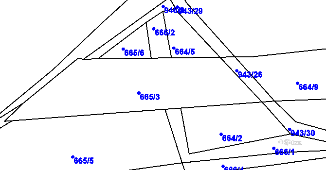 Parcela st. 666/3 v KÚ Loza, Katastrální mapa