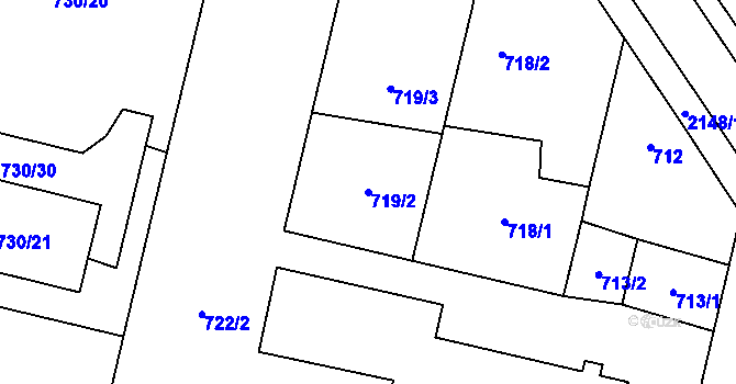 Parcela st. 719/2 v KÚ Dolní Benešov, Katastrální mapa