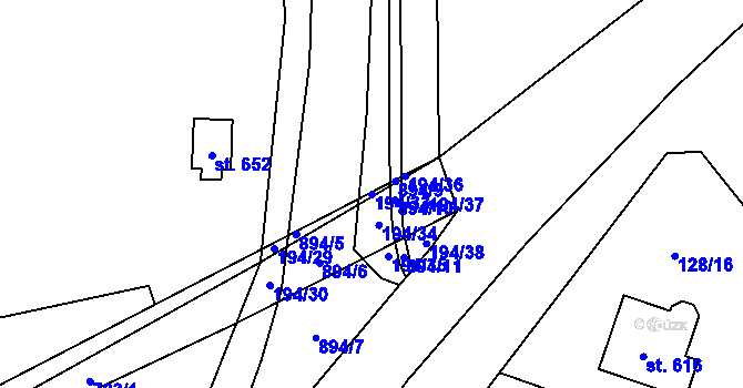Parcela st. 194/33 v KÚ Dolní Beřkovice, Katastrální mapa