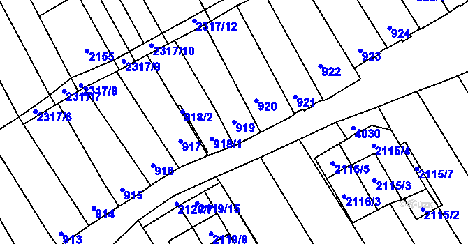 Parcela st. 919 v KÚ Dolní Bojanovice, Katastrální mapa