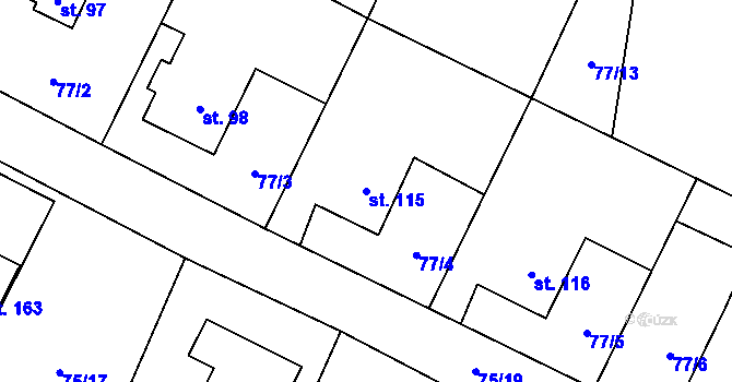 Parcela st. 115 v KÚ Dolní Bory, Katastrální mapa