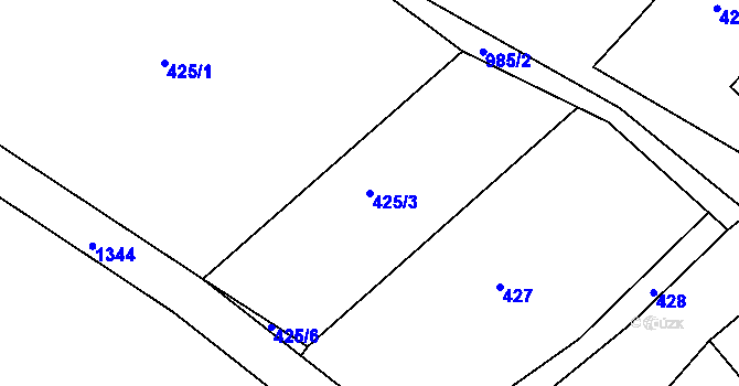 Parcela st. 425/3 v KÚ Dolní Brusnice, Katastrální mapa