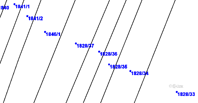 Parcela st. 1828/36 v KÚ Dolní Bukovsko, Katastrální mapa
