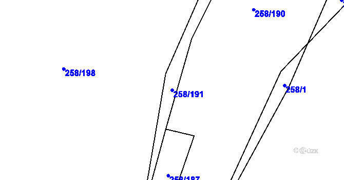 Parcela st. 258/191 v KÚ Dolní Bukovsko, Katastrální mapa