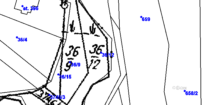 Parcela st. 36/12 v KÚ Dolní Cerekev, Katastrální mapa
