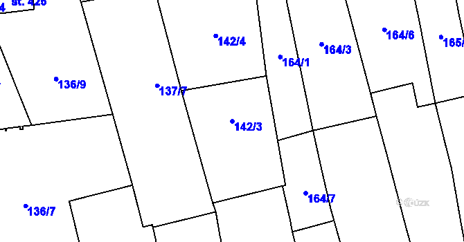 Parcela st. 142/3 v KÚ Dolní Cerekev, Katastrální mapa