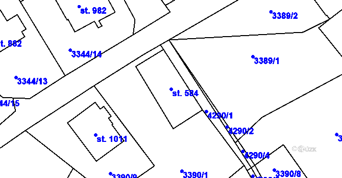 Parcela st. 584 v KÚ Dolní Čermná, Katastrální mapa