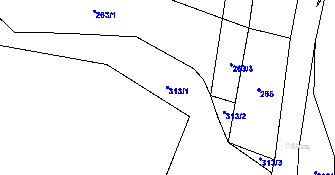 Parcela st. 313/1 v KÚ Dolní Datyně, Katastrální mapa