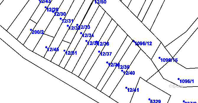 Parcela st. 12/37 v KÚ Dolní Dubňany, Katastrální mapa