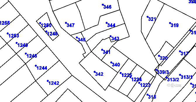 Parcela st. 341 v KÚ Dolní Kounice, Katastrální mapa