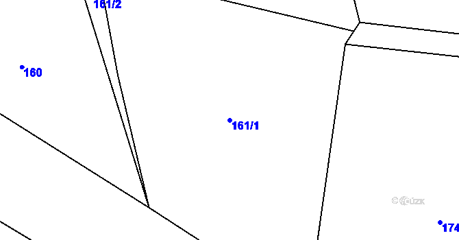 Parcela st. 161/1 v KÚ Dachov, Katastrální mapa