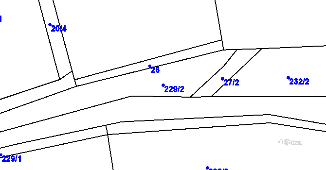 Parcela st. 229/2 v KÚ Dachov, Katastrální mapa
