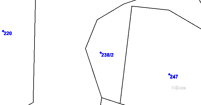 Parcela st. 238/2 v KÚ Dachov, Katastrální mapa