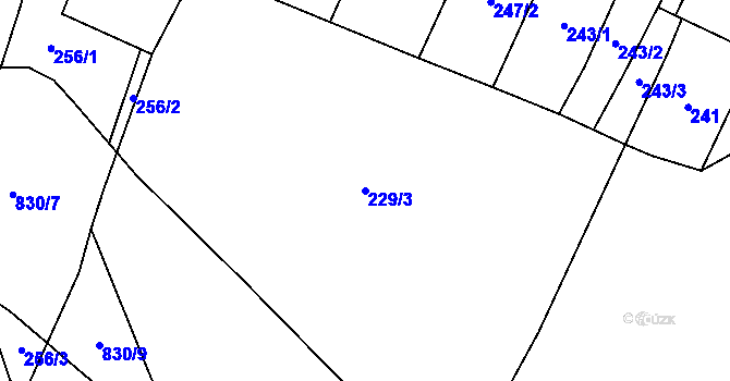 Parcela st. 229/3 v KÚ Dolní Lhota u Stráže nad Nežárkou, Katastrální mapa