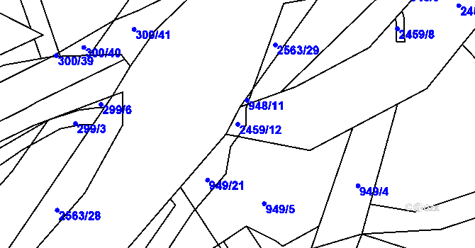 Parcela st. 2459/12 v KÚ Dolní Lomná, Katastrální mapa