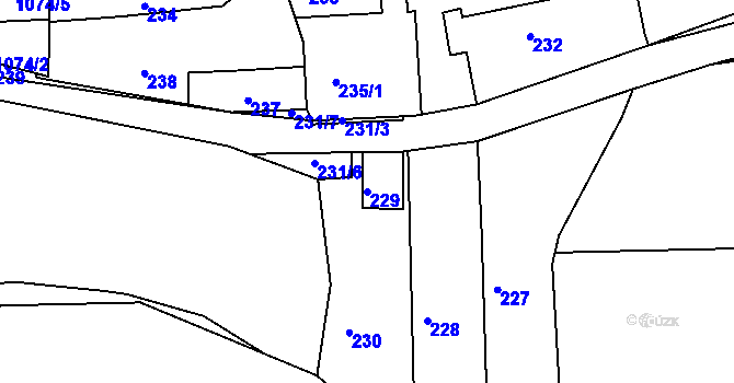 Parcela st. 229 v KÚ Dolní Loučky, Katastrální mapa