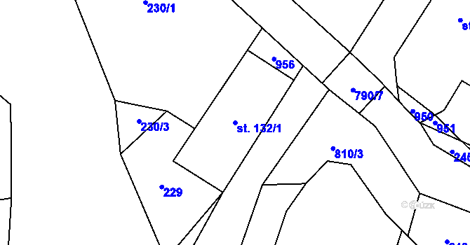 Parcela st. 132/1 v KÚ Dolní Lukavice, Katastrální mapa
