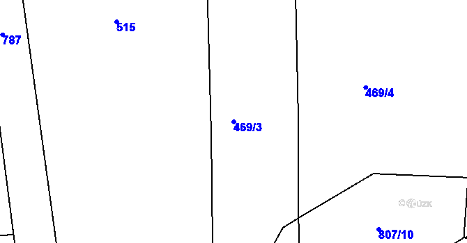 Parcela st. 469/3 v KÚ Krasavce, Katastrální mapa