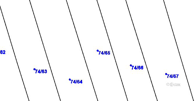 Parcela st. 74/65 v KÚ Snopoušovy, Katastrální mapa