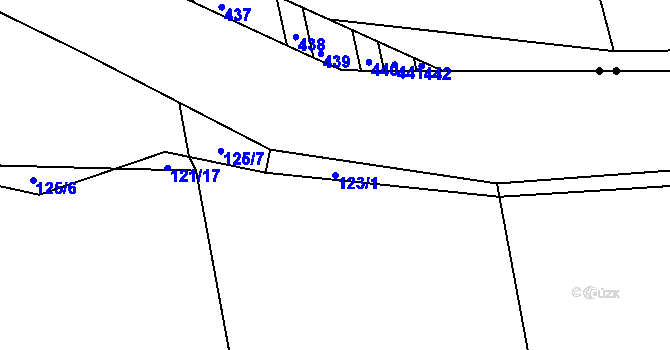 Parcela st. 123/1 v KÚ Snopoušovy, Katastrální mapa