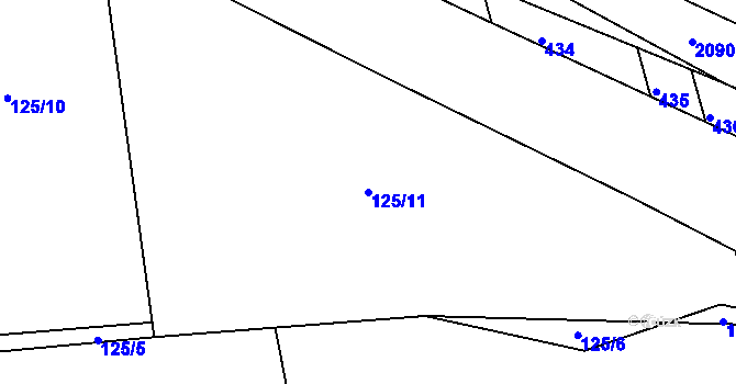 Parcela st. 125/11 v KÚ Snopoušovy, Katastrální mapa