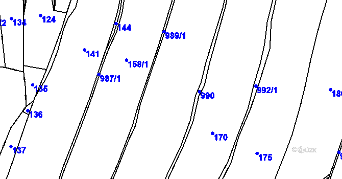 Parcela st. 161 v KÚ Nová Ves u Rýmařova, Katastrální mapa