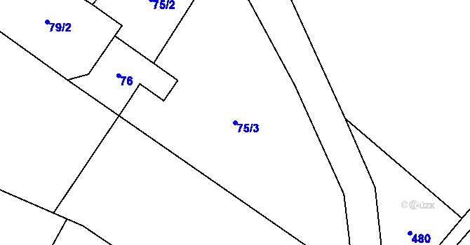 Parcela st. 75/3 v KÚ Dolní Nětčice, Katastrální mapa