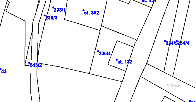 Parcela st. 236/4 v KÚ Dolní Poustevna, Katastrální mapa