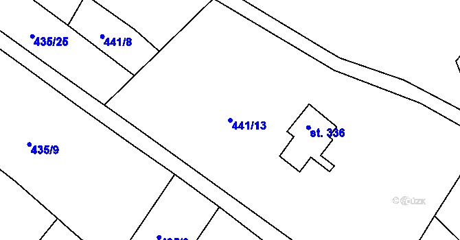 Parcela st. 441/13 v KÚ Dolní Poustevna, Katastrální mapa