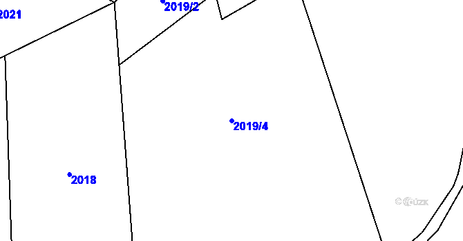 Parcela st. 2019/4 v KÚ Dolní Radechová, Katastrální mapa