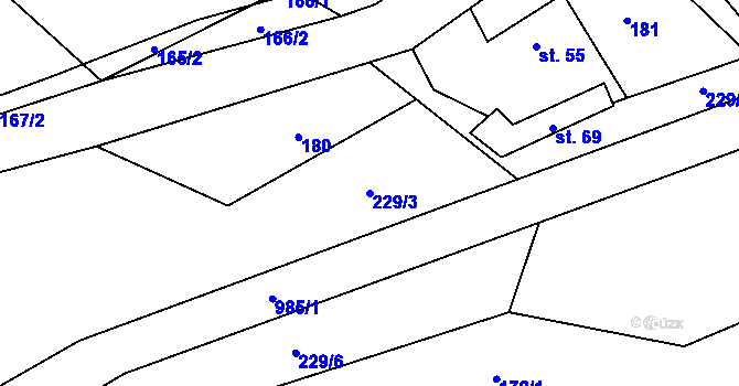 Parcela st. 229/3 v KÚ Rodkov, Katastrální mapa