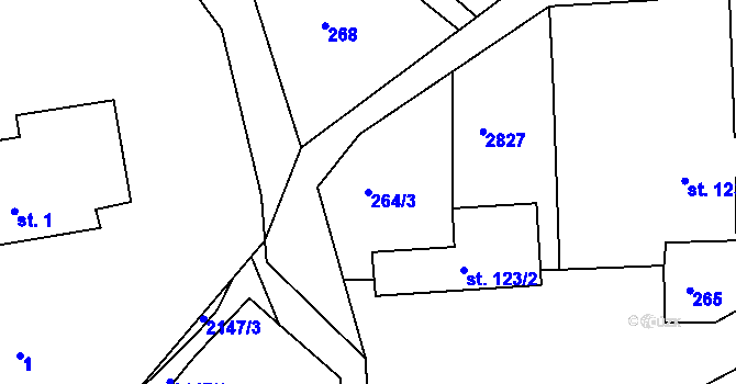 Parcela st. 264/3 v KÚ Dolní Řasnice, Katastrální mapa