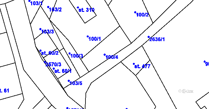 Parcela st. 100/4 v KÚ Dolní Řasnice, Katastrální mapa