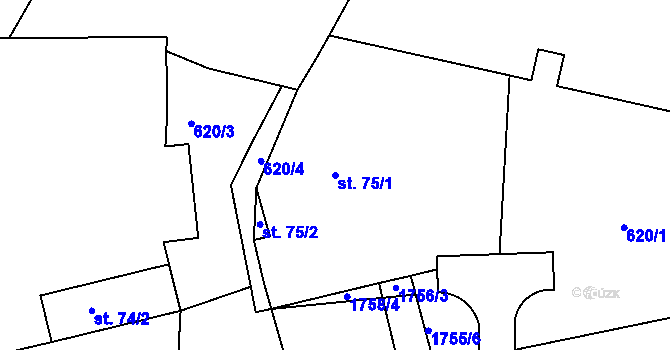 Parcela st. 75/1 v KÚ Dolní Ředice, Katastrální mapa