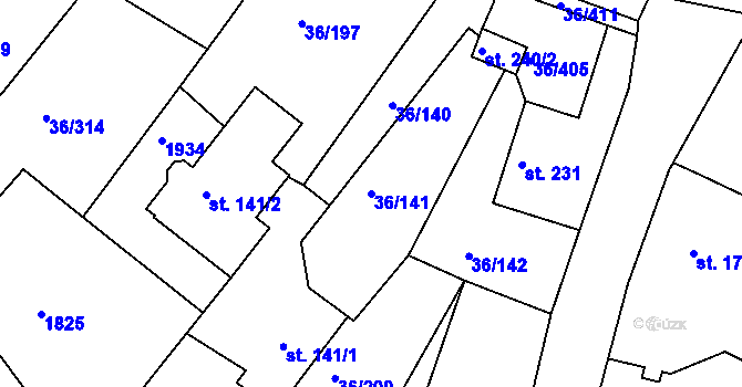 Parcela st. 36/141 v KÚ Dolní Ředice, Katastrální mapa