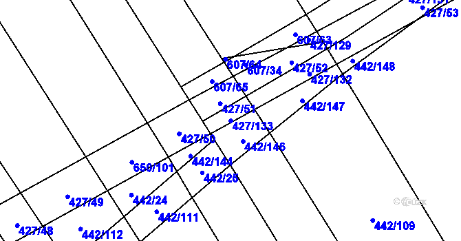 Parcela st. 427/133 v KÚ Dolní Studénky, Katastrální mapa