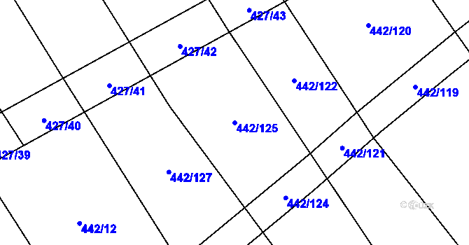 Parcela st. 442/125 v KÚ Dolní Studénky, Katastrální mapa