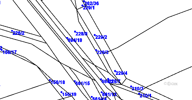 Parcela st. 229/3 v KÚ Dolní Svince, Katastrální mapa
